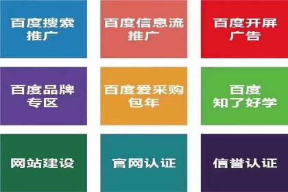 高效SEM托管公司案例对比分析
